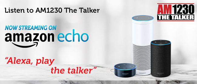 Alexa Skill